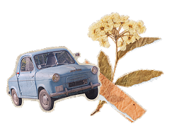 Footer Image