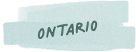 Badge 1
